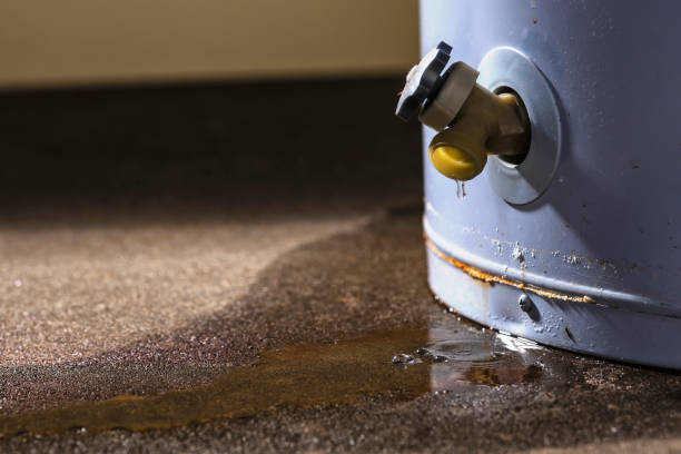 Best Mold removal after water damage  in Rouse, CA