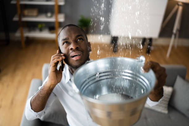 Best Carpet water damage restoration  in Rouse, CA