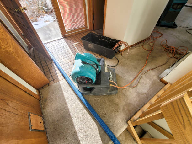 Best Flooded house restoration  in Rouse, CA