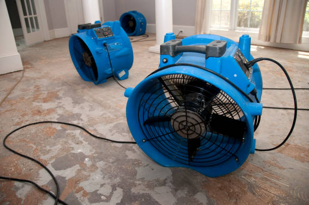 Best Flood damage cleanup  in Rouse, CA