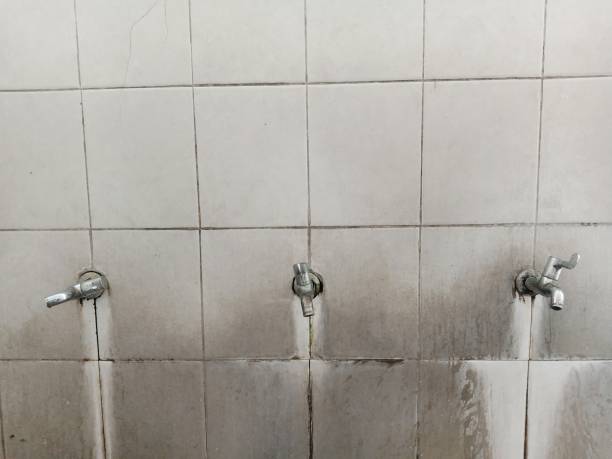 Best Water damage restoration near me  in Rouse, CA