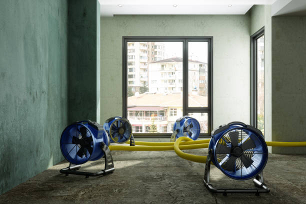 Best Water damage restoration services  in Rouse, CA